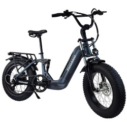 Monster FS Sport Gray D-3-4